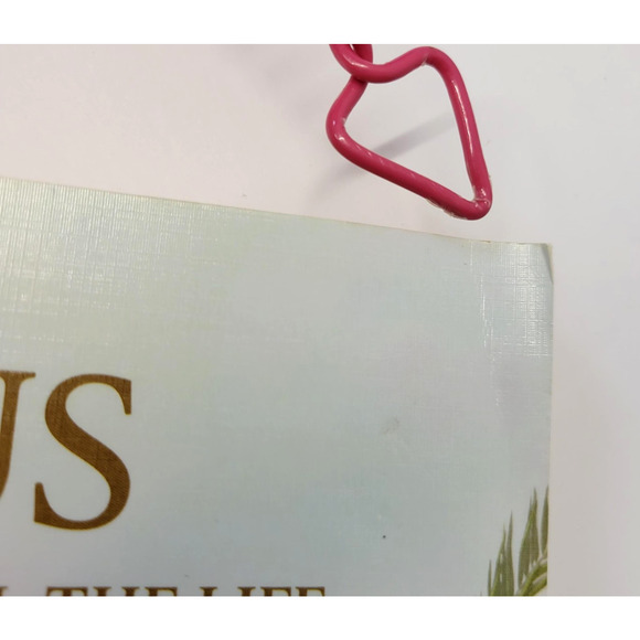 Jesus The Way The Truth The Life Book 2015 Watchtower Jehovah Paperback English - Picture 14 of 16